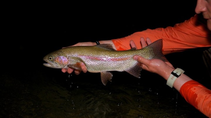 Day%20five%20-%20022