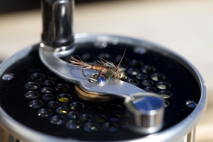 Day%20six%20-%20%20021