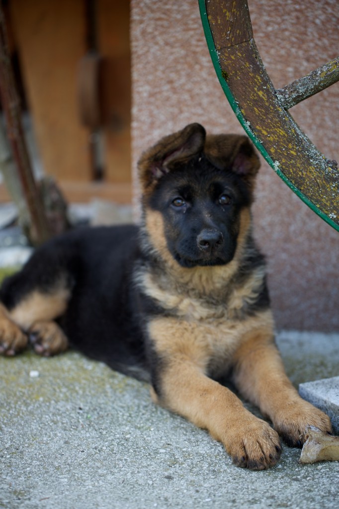 Day%20three%20-%20%20007