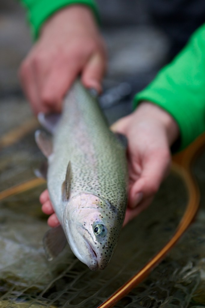 Day%20two%20-%20%20007