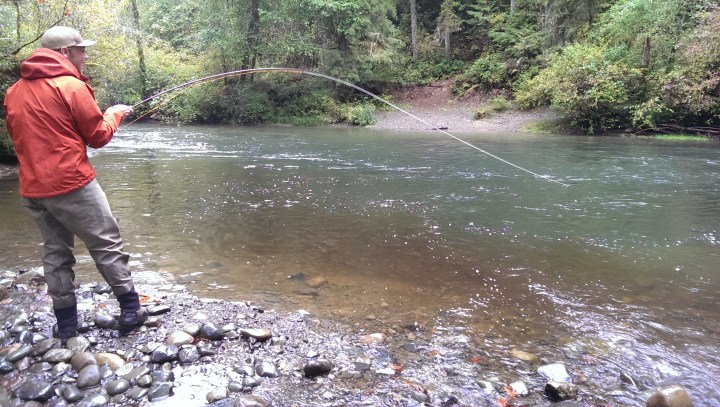 10215971076_69efabf839_o