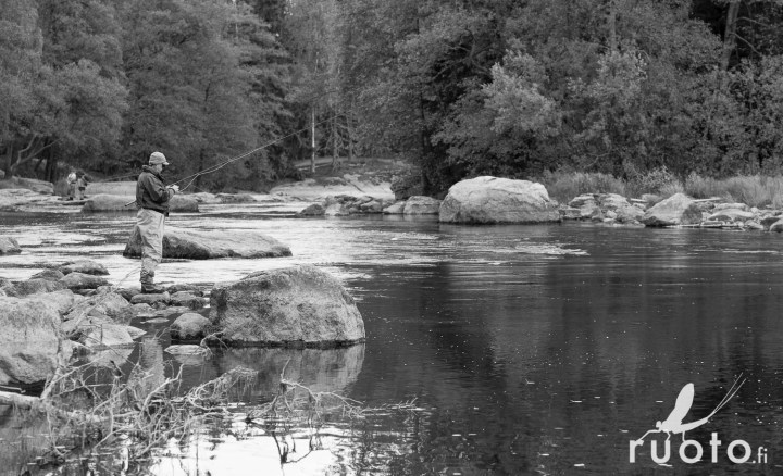 BlogiinLohikurssiV1-10