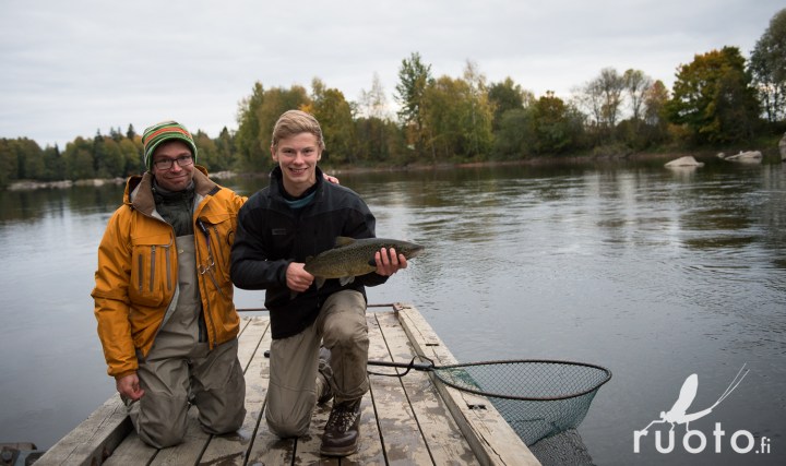 BlogiinLohikurssiV1-14