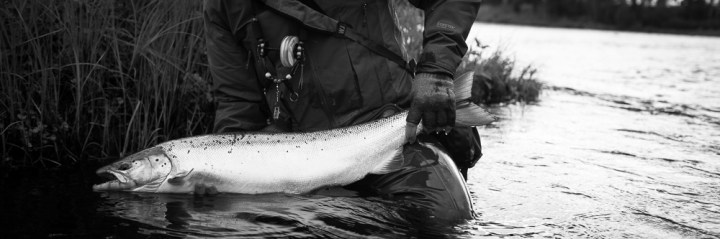 Ruotoblog_Yläkuvat_JoonasOksanen_Lohi-3