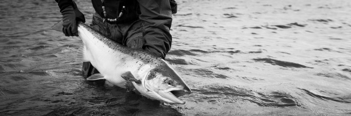 Ruotoblog_Yläkuvat_JoonasOksanen_Lohi