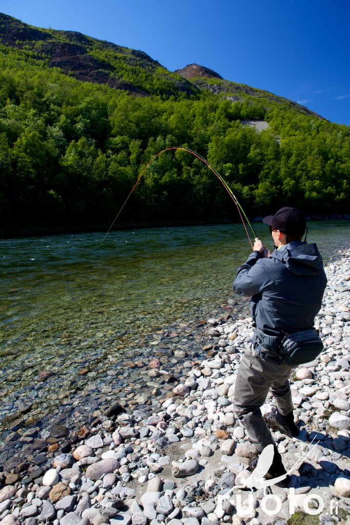 Ruotoblog_FFFReisa-2