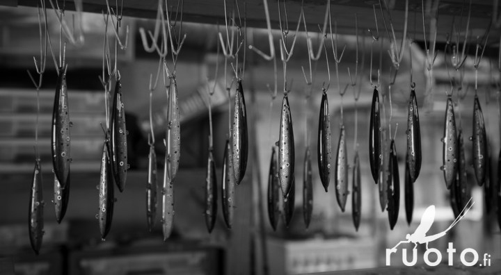 RuotoBlog_JanneKoivisto_UkkoJerk-11