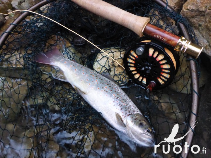 RuotoBlog_Kaukasus_JPPohjola-7