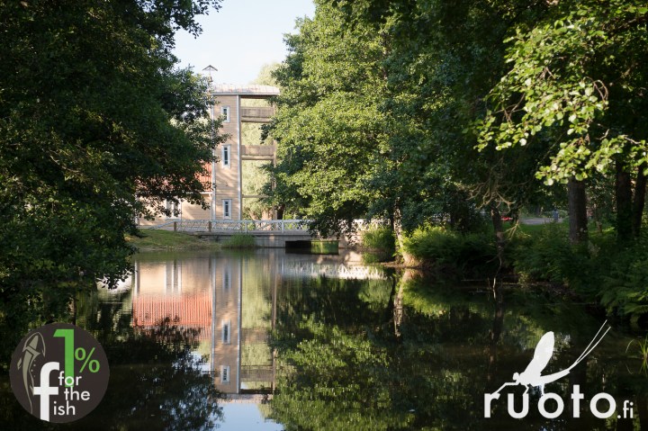 RuotoBlog_Riverkeepers_Firskarstalkoot_1per-8