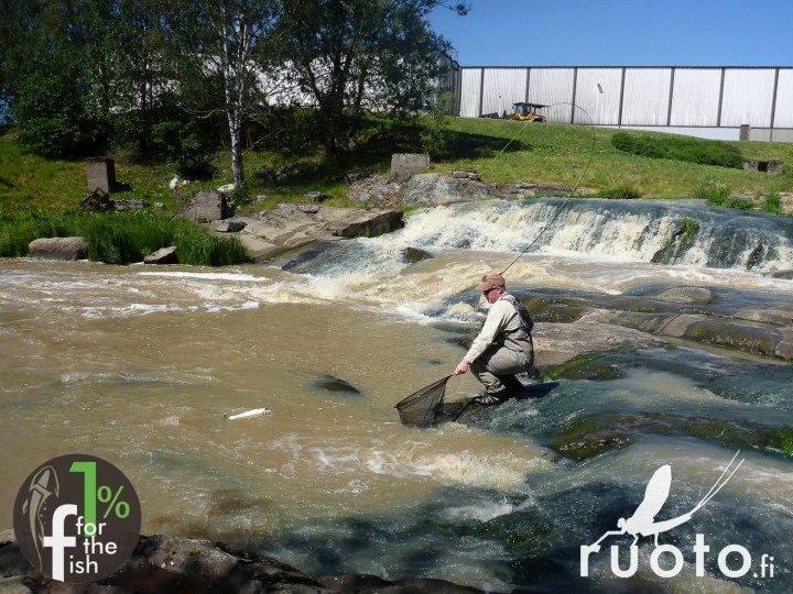 RuotoBlog_Turpakisat_JPPohjola-2-2