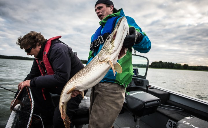 Inkoo_Ruoto_250615-2