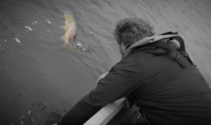 Inkoo_Ruoto_250615-4