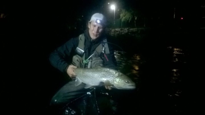 altAi69724z9wprr81y0WSLRppM5U37C2DN5S8lVGUmr097