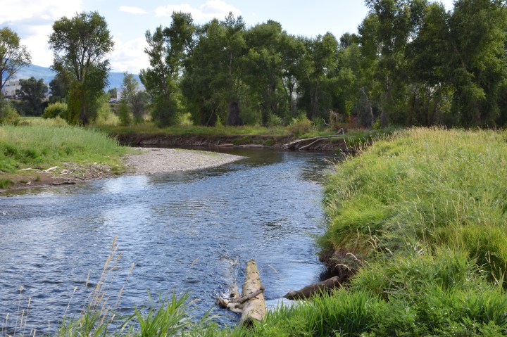 blogi-6-eagle-on-kisajoista-selkeasti-pienin