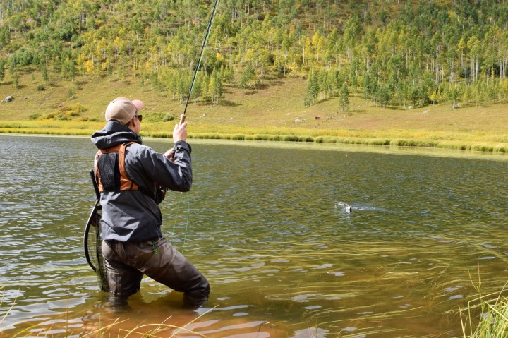 Heikki väsyttää pientä Piney Laken kirjolohta