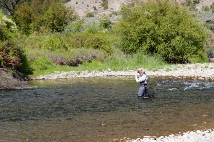 Hyvän näköinen puskan alunen Eaglella tarjosi kaloja Jyrkille