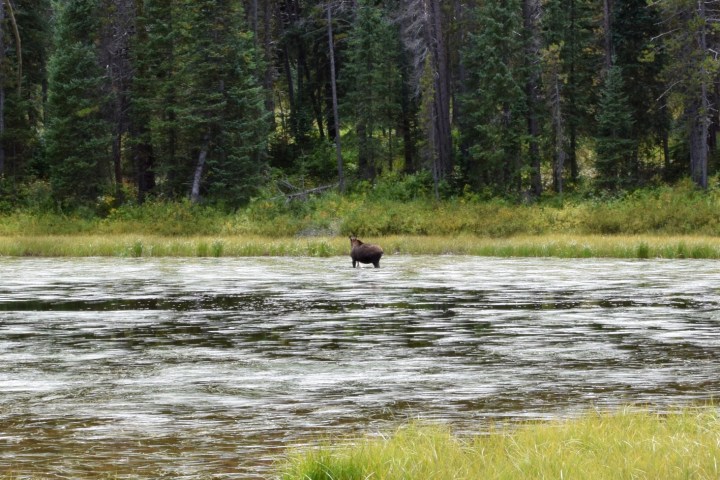 Piney Lake sijaitsee erämaassa ja sen huomaa myös järvellä vieraileva kalastaja