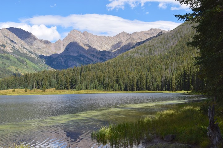 Piney Lake sijaitsee jylhissä maisemissa Kalliovuorten syleilyssä