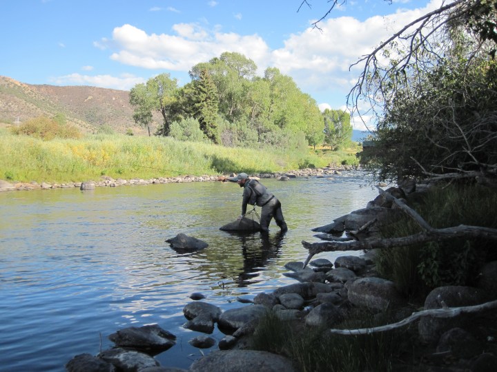 blogi-10-jani-nymfaa-tarkkaavaisena-eaglen-ylaosilla