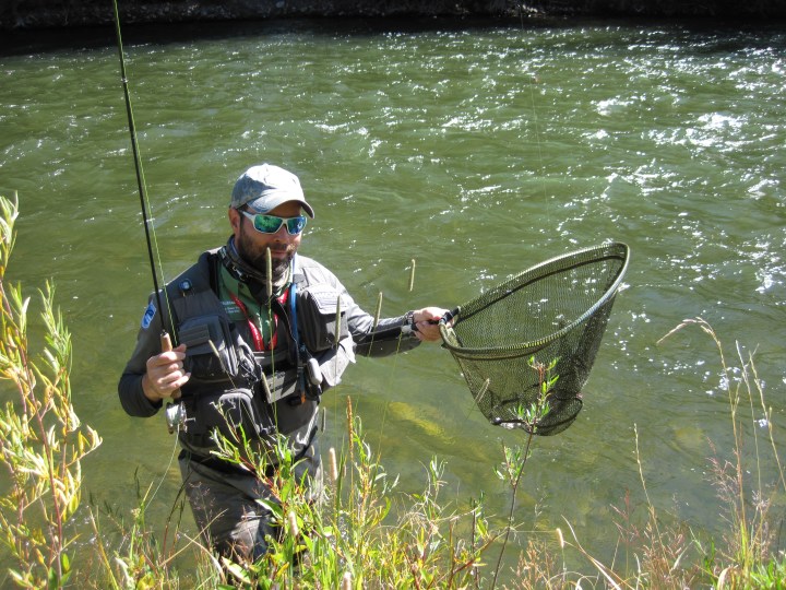 blogi-10-kala-saapumassa-mittaukseen-blue-joella