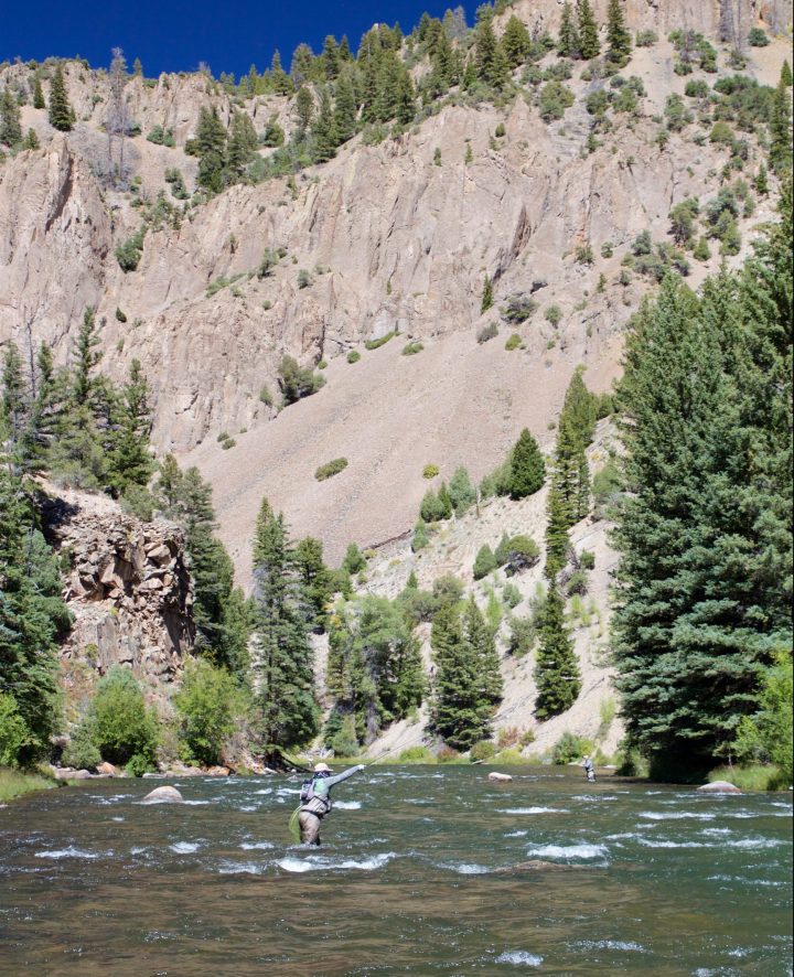 blogi-9-kaitsun-tyylinayte-bluen-harjoituksista